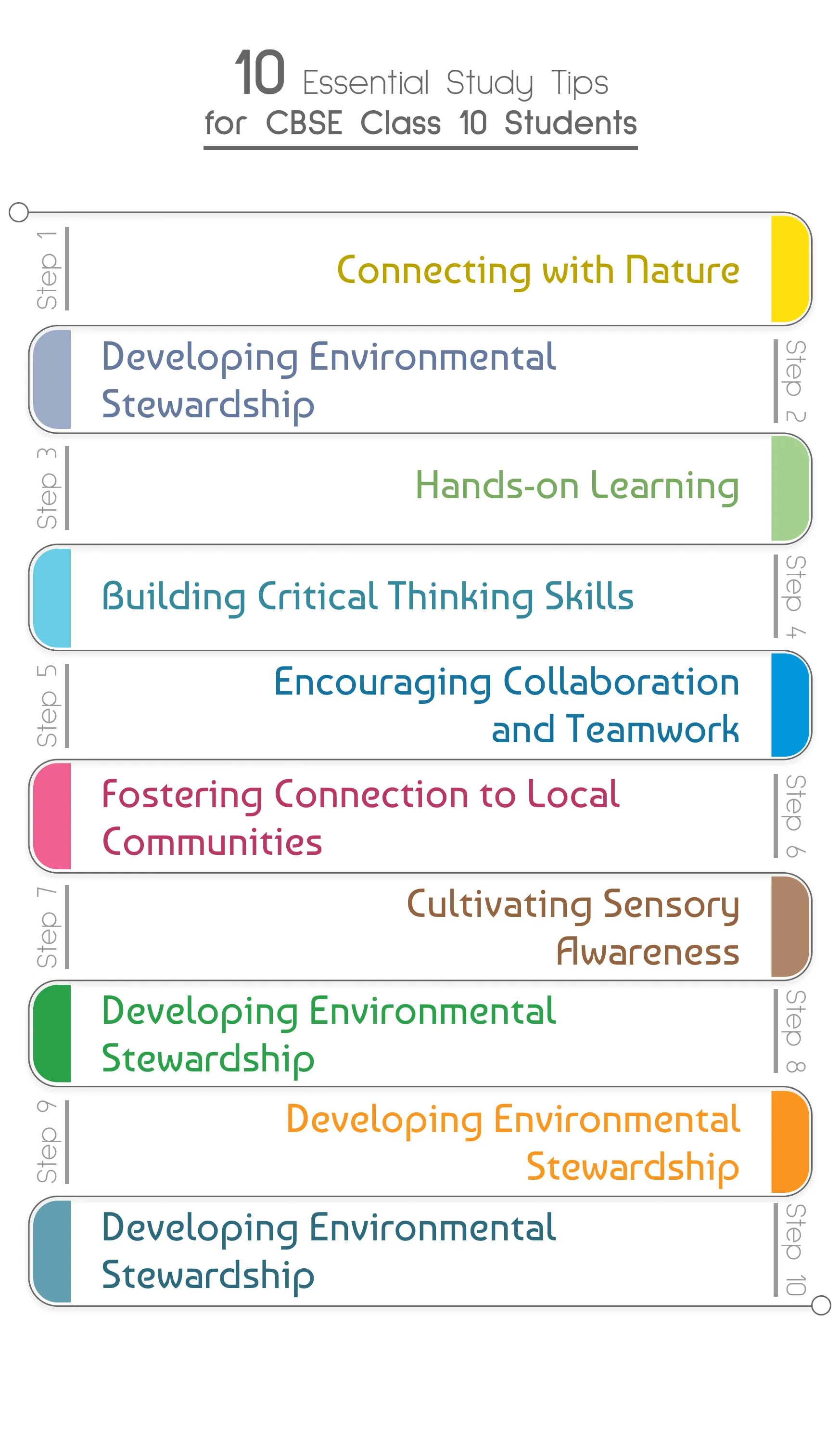 The role of project-based learning in the CBSE curriculum